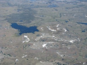 Lago em Botswana Lago onde animais buscam água
