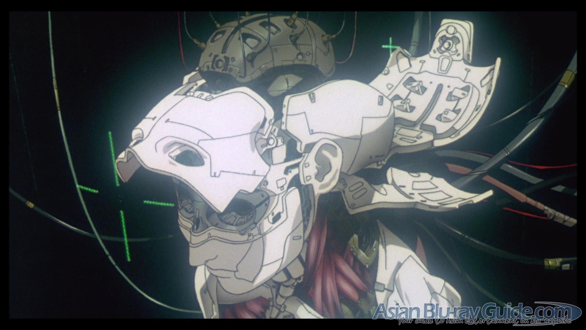 David Chalmers: Como explicar a consciência?