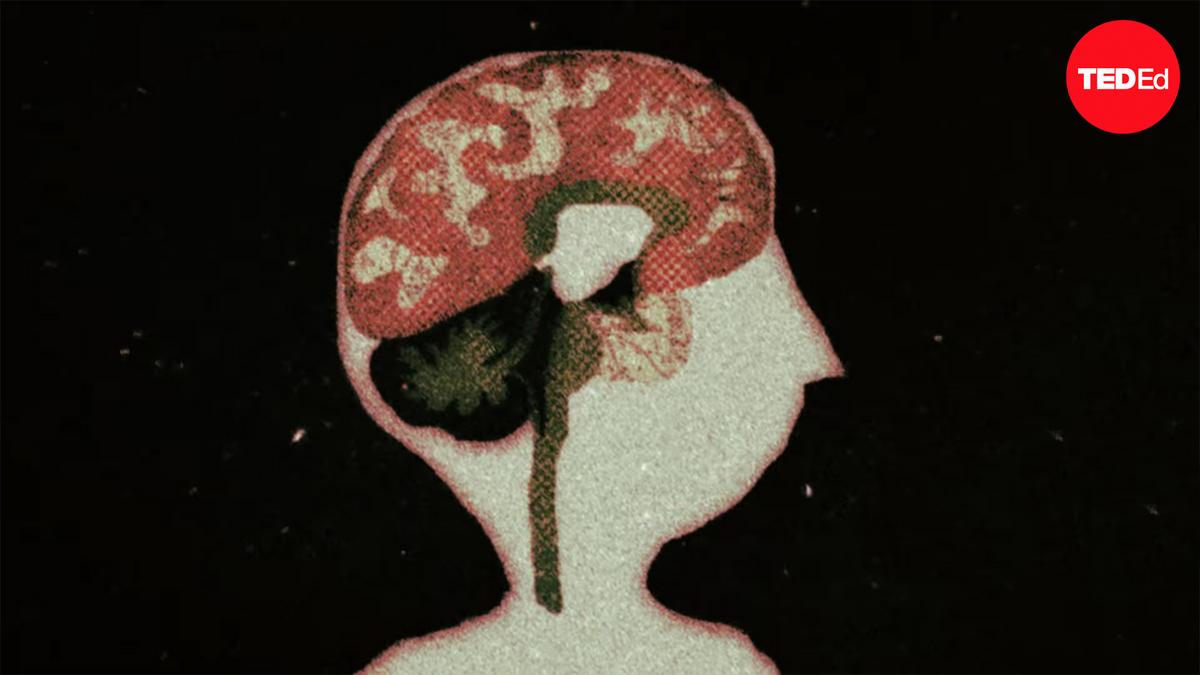 The psychology of post-traumatic stress disorder