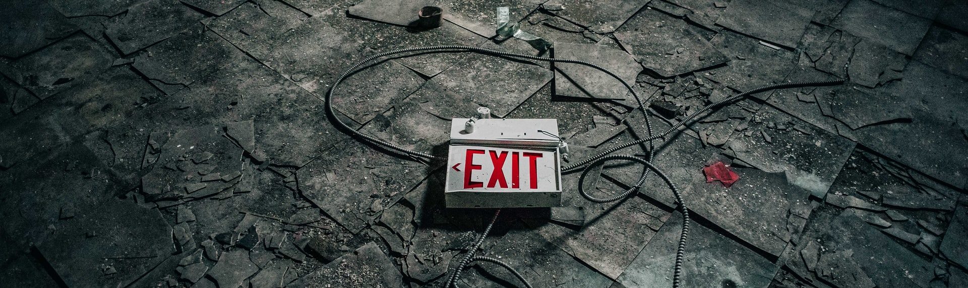 1984: A oposição que fortalece o predador